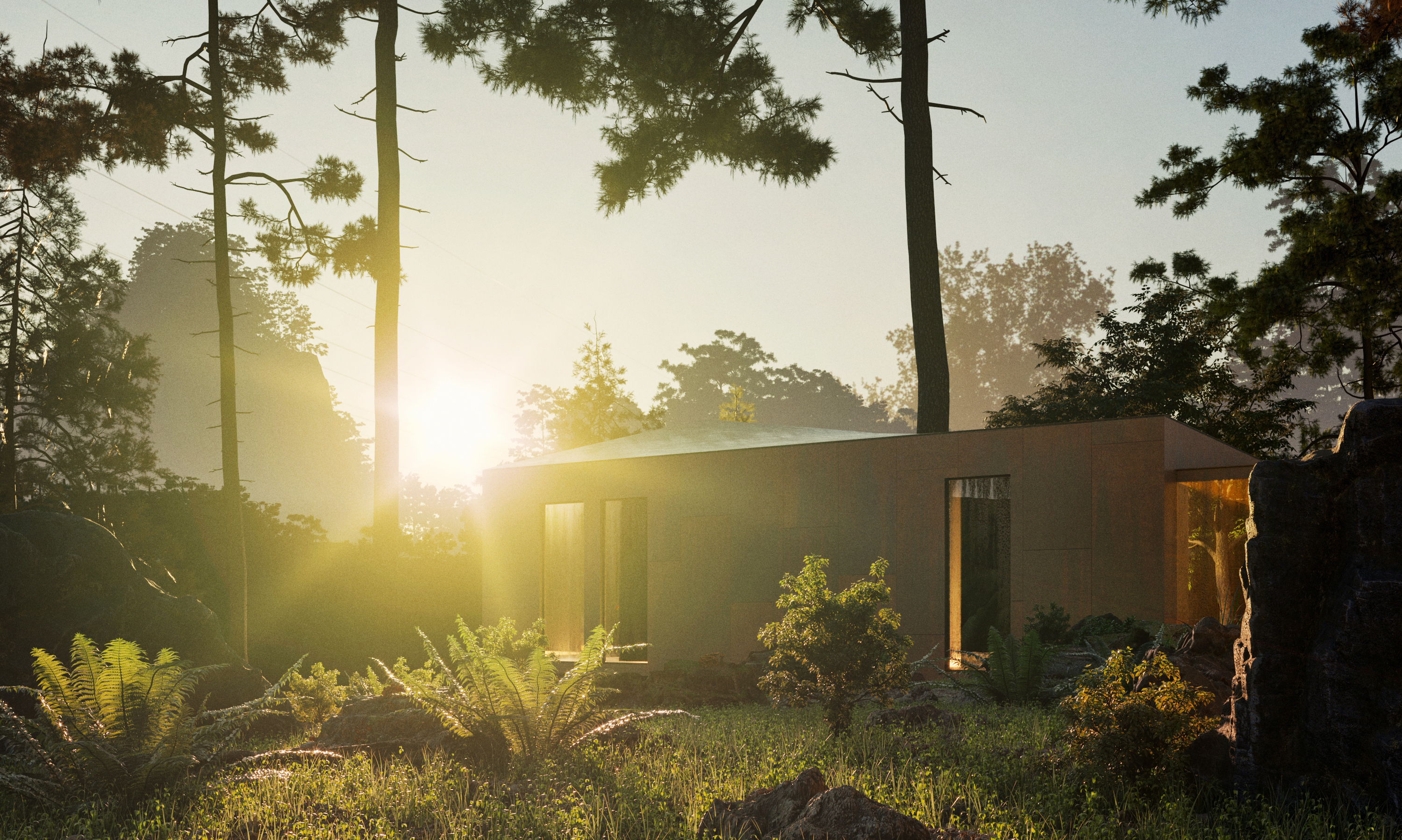 Forest House — Dawn